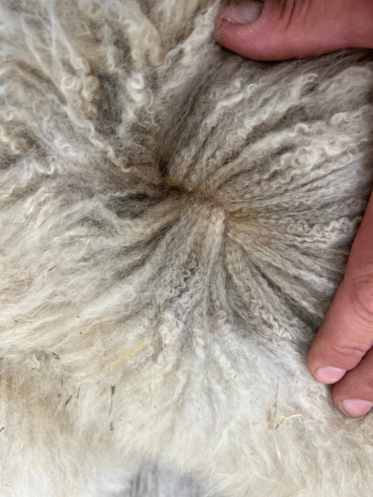 Alpakawolle vs. Schafwolle als Nistmaterial: Was ist besser für Vögel?